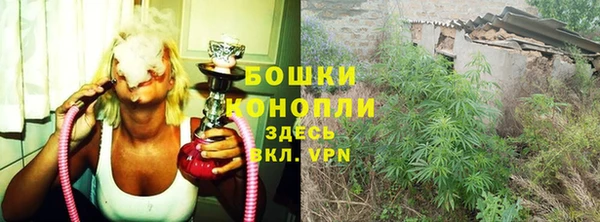 стаф Балахна