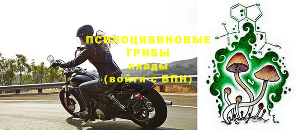 стаф Балахна