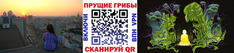 Псилоцибиновые грибы Magic Shrooms Гаврилов Посад